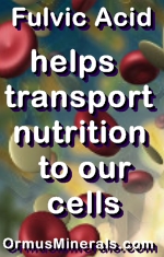 Ormus Minerals Fulvic Acid minerals help transport Nutrition to our cells