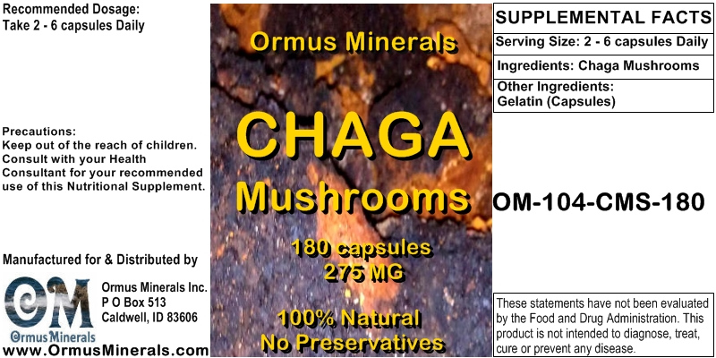 Chaga Mushrooms